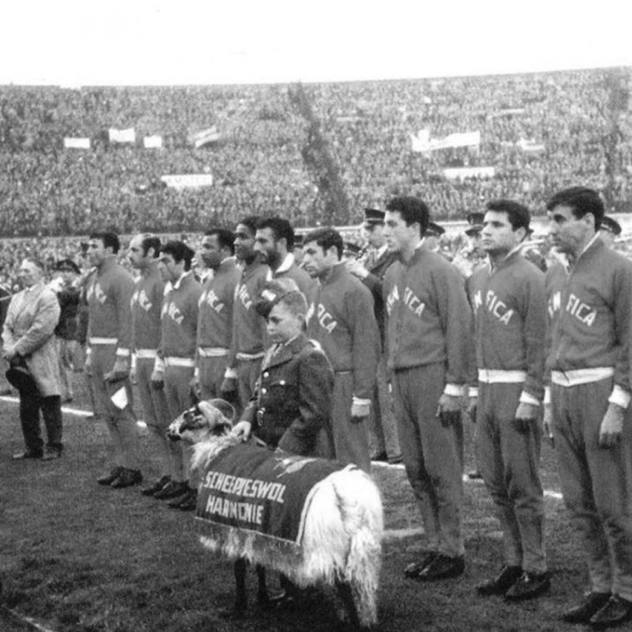 Veste new arrivals benfica noir